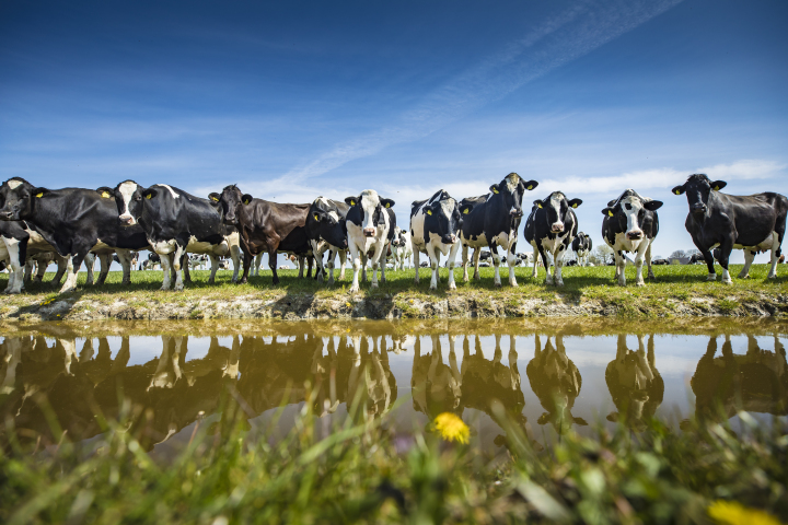 HAKLAM biedt nieuwe mogelijkheden voor flexibel peilbeheer