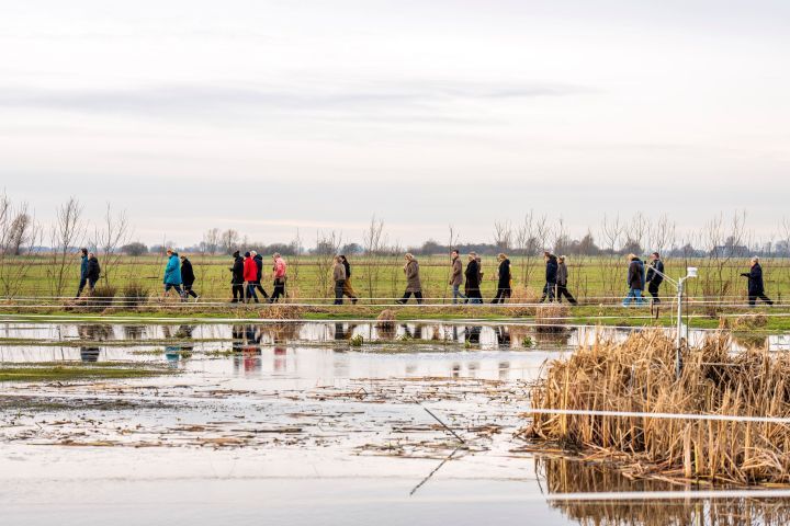 Ervaringen en innovatie in gebiedsontwikkeling Hegewarren