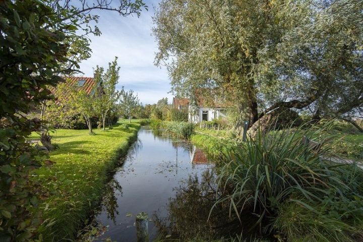 Foto van een sloot met huizen aan weerskanten die verscholen achter bomen liggen