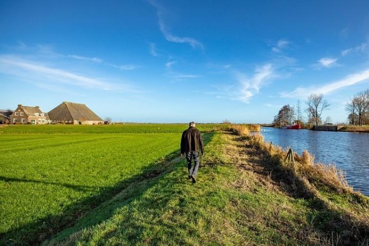 Proefdraaien met vergoedingsaanpak peilverhoging veenweiden