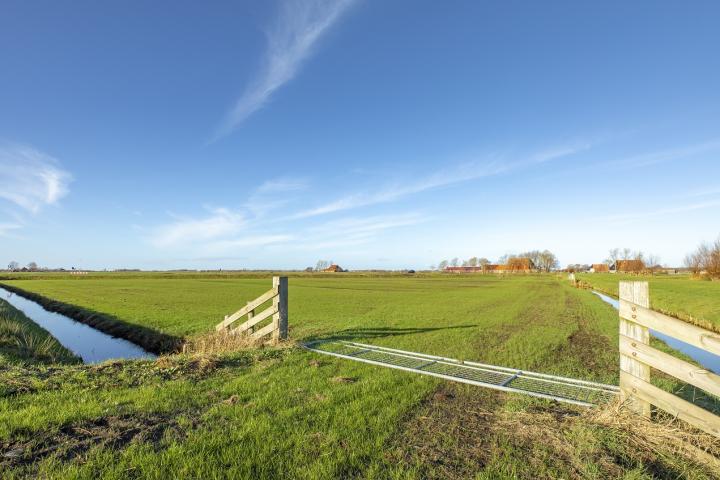 Subsidie voor boeren-experimenten in de veenweide nog mogelijk tot 1 november