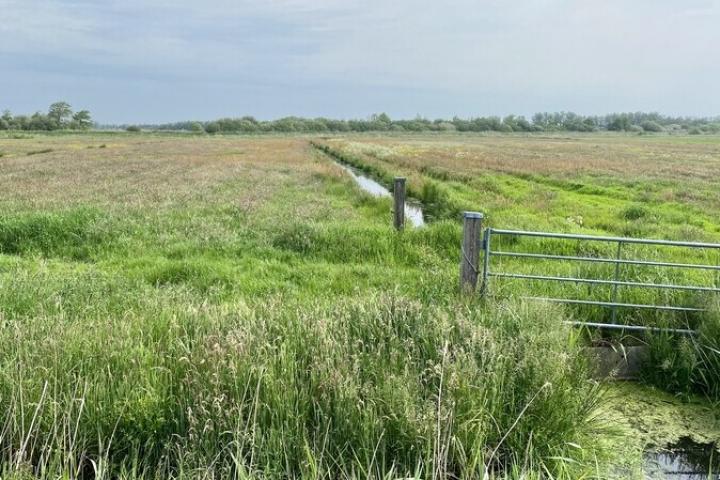 Foto van weilanden in de Hegewarren, met op de voorgrond een hek