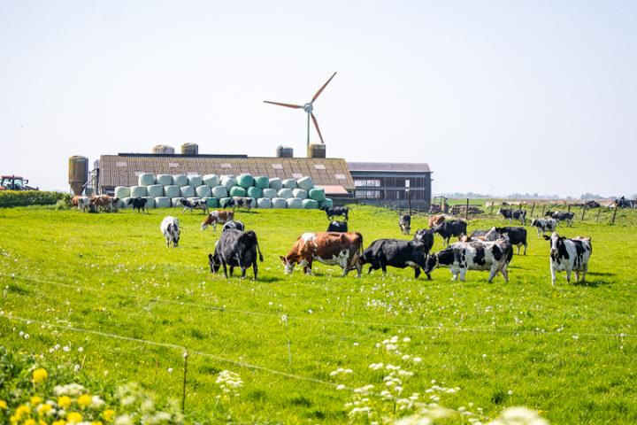 Breed gedragen compensatie-aanpak voor hogere peilen in feangreiden