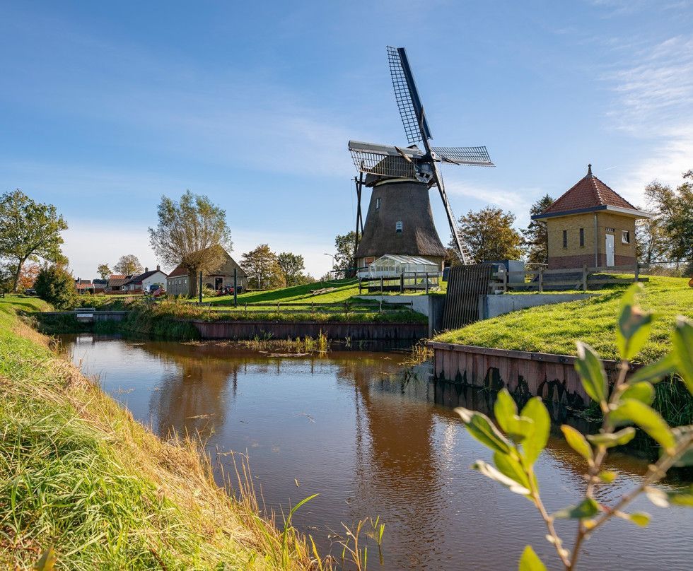 Sfeerbeeld Veenweidegebied