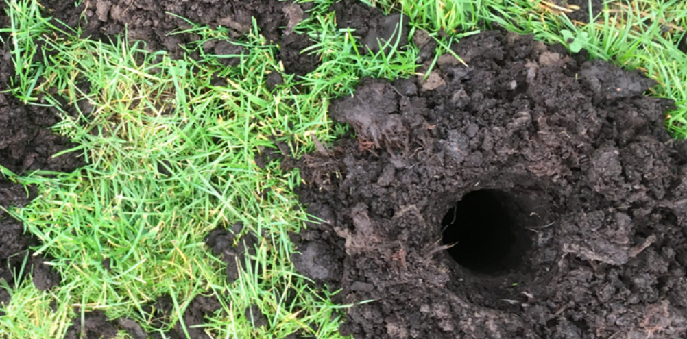 Boorgaten in schalterveen