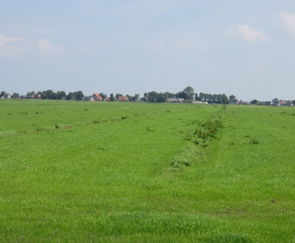 Foto van een weidelandschap met greppels erin. In de achtergrond zijn huizen en bomen te zien