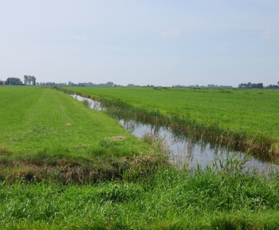 Foto van landschap met zichtbare opstrekkende sloten