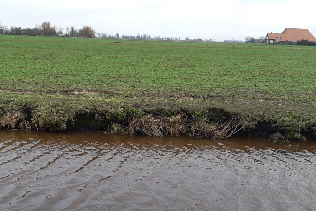 Stabiliteit oevers bij vernatting