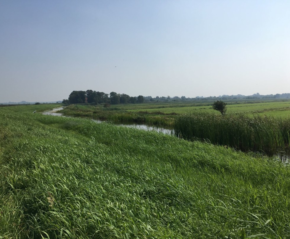 Foto: Kade met teensloot en pad op de kruin