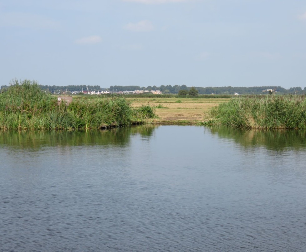 Foto van boezemwater met daarachter een rand met natuurontwikkeling