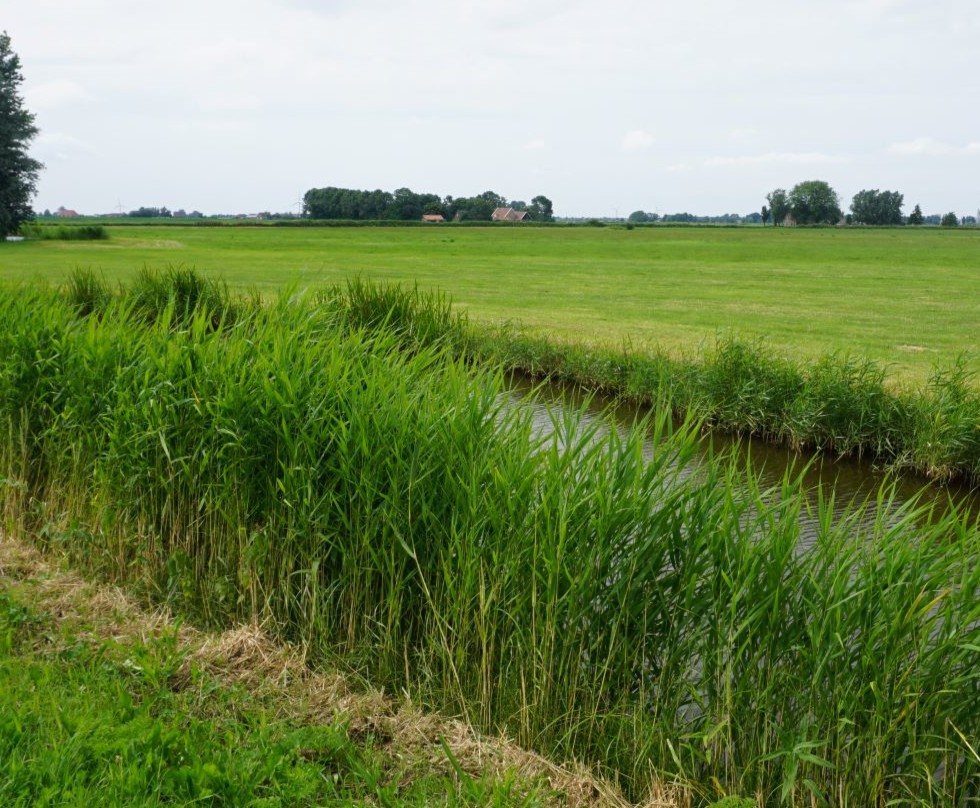 Foto: Over grote lengte één peil