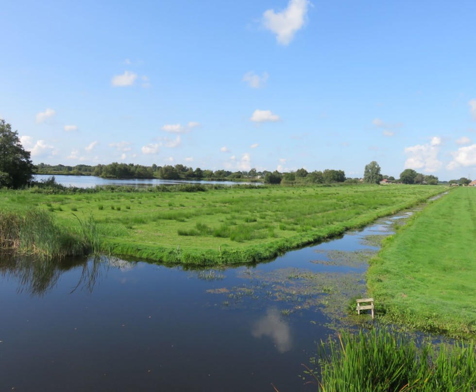 Foto van extensief beheerd grasland rond natuurgebieden