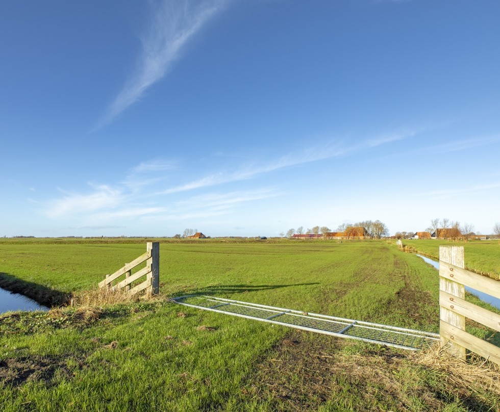 Foto van toegangsweg naar weiland met een platliggend hek ervoor