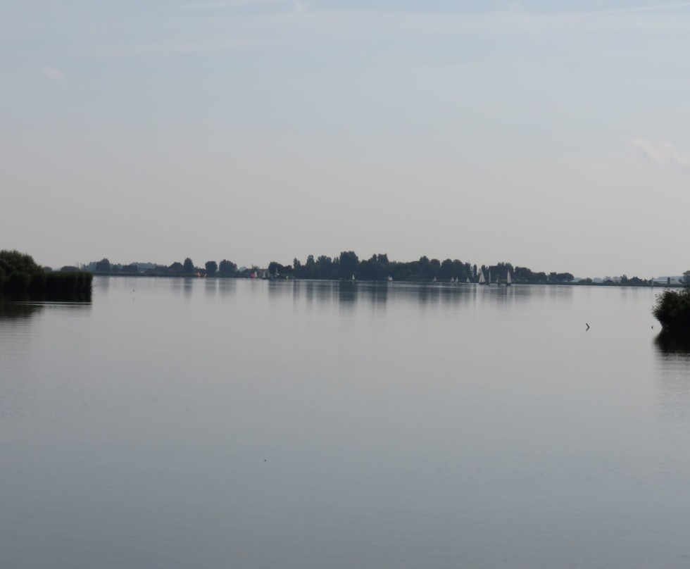 Foto van natuurontwikkeling langs boezemwater