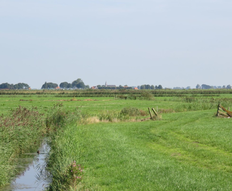 Foto: asymmetrisch slootprofiel met natuurlijke oevers