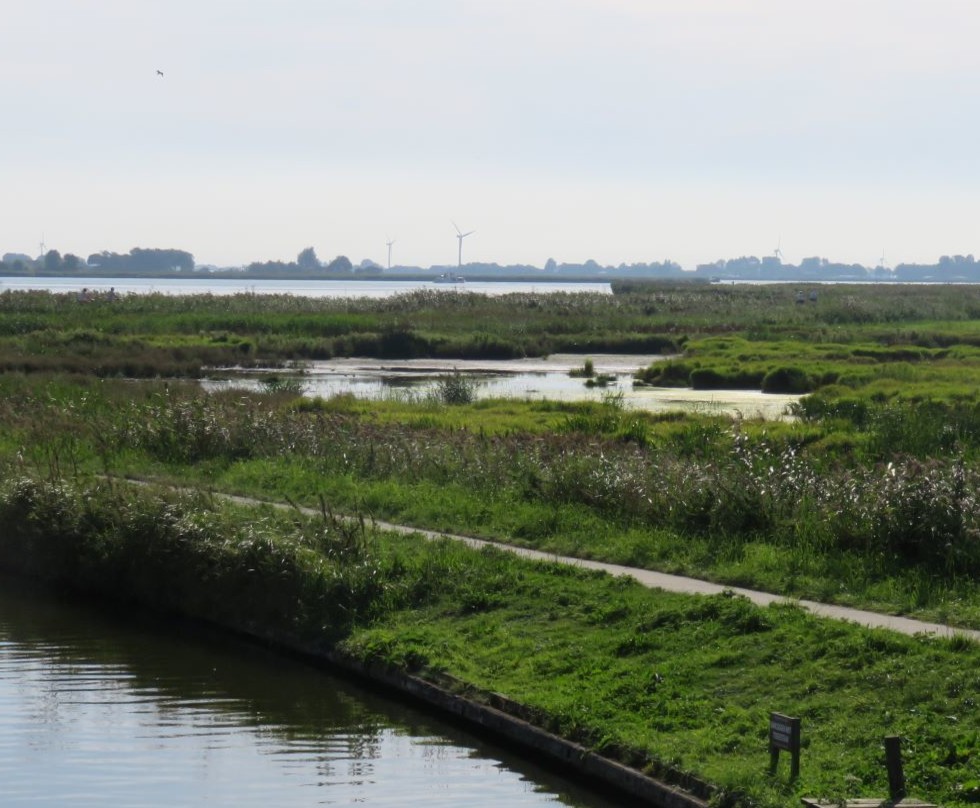 Foto: natuurontwikkeling in combinatie met retentie