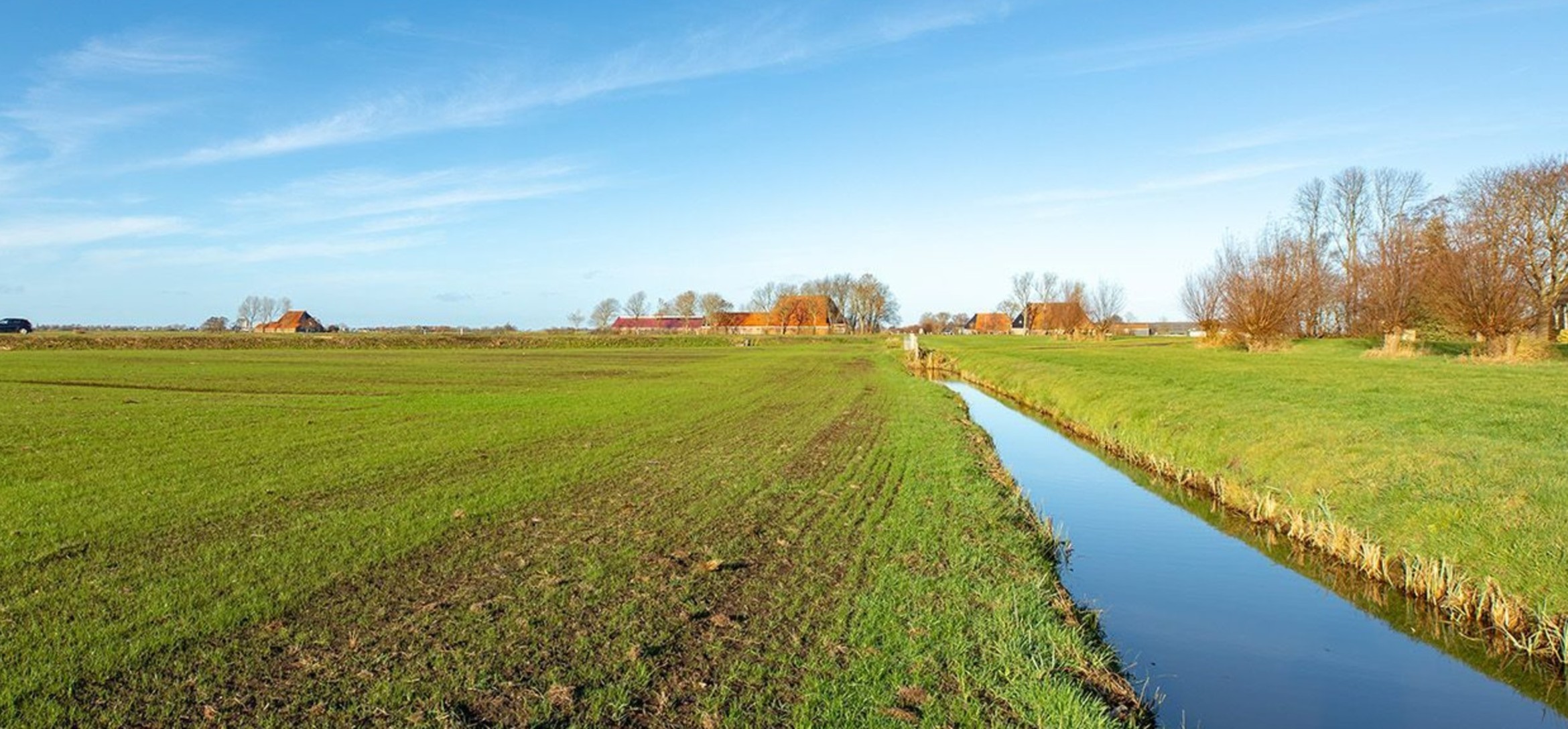 Foto van een weiland en een sloot in de lengte gefotografeerd