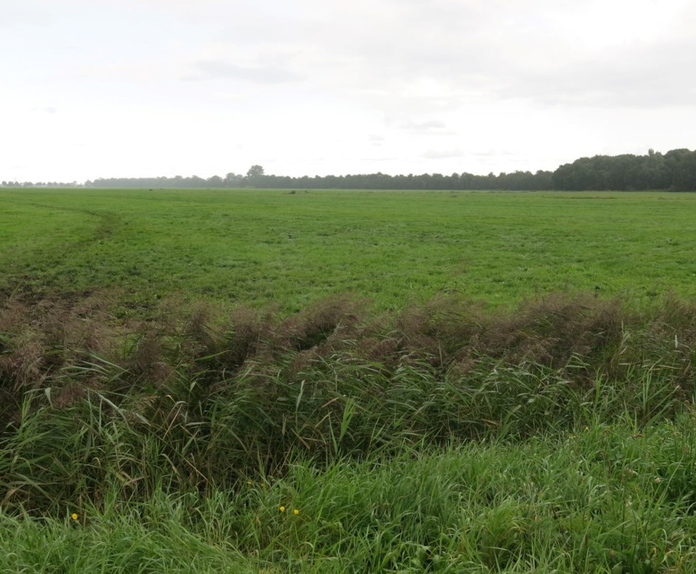 Foto: landschappelijke kamers