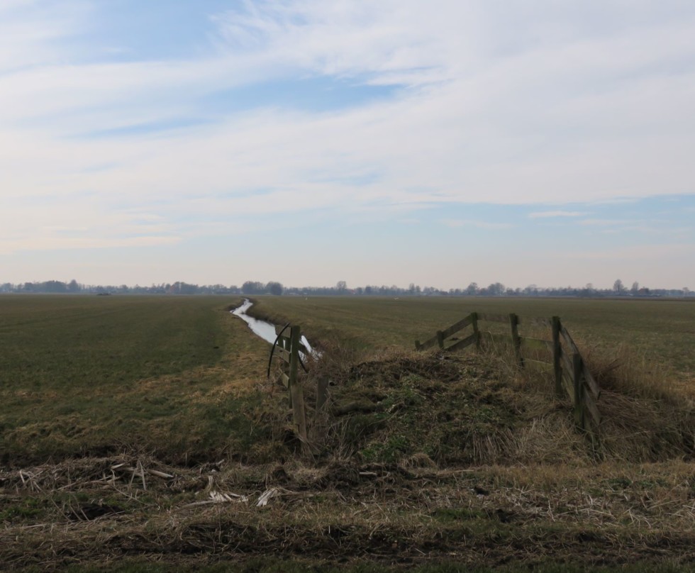 Foto van weilanden met een sloot die naar achteren loopt en een weidse lucht erboven. Het illustreert het open karakter van de veenweide