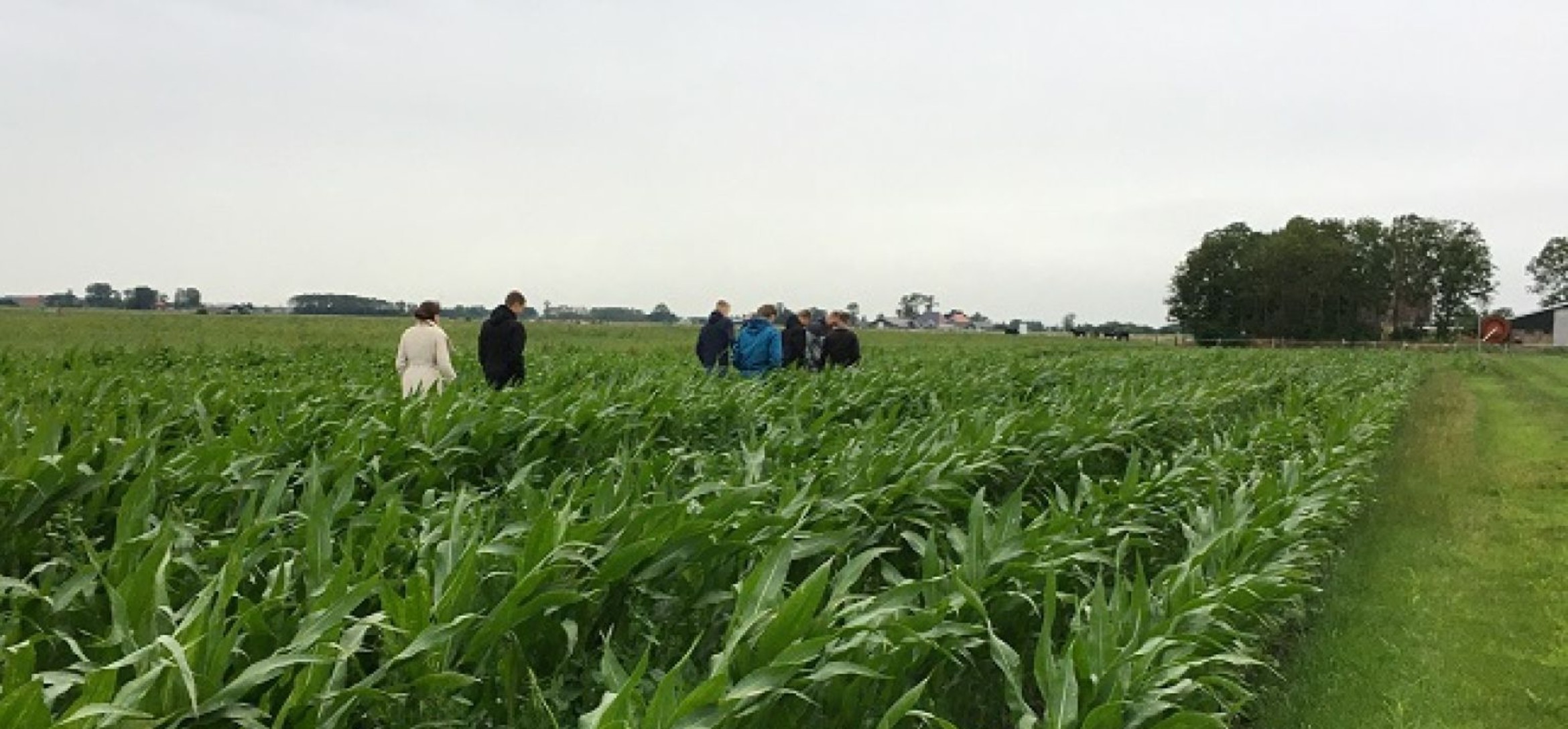 Foto van bezoekers aan demoveld maisteelt