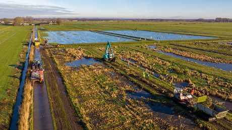 Luchtfoto van de oogst op het lisdoddeveld