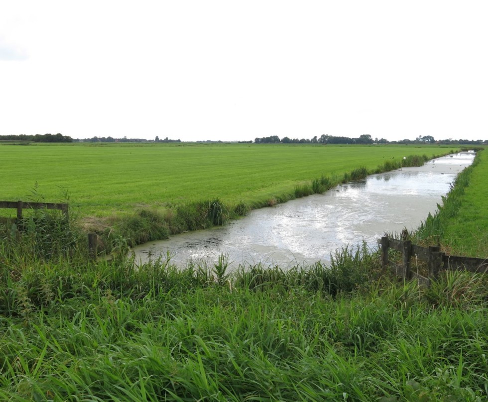 Foto bij onderwaterdrainage ten behoeve van agrarisch gebruik