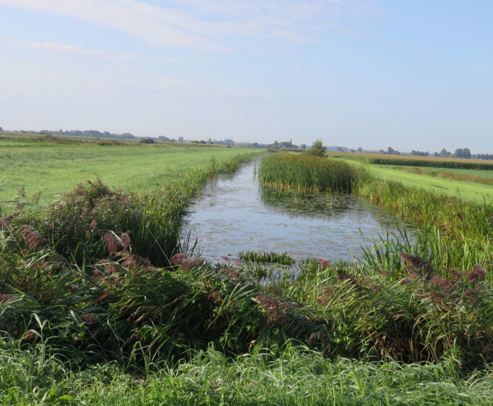 Foto: Water zichtbaar in hoogwatercircuit