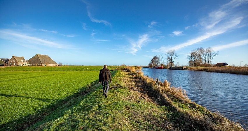 Man loopt in weiland, op de rug gezien