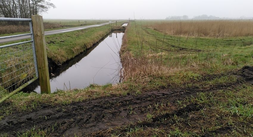 Foto van bandensporen tractor bij ingang weiland