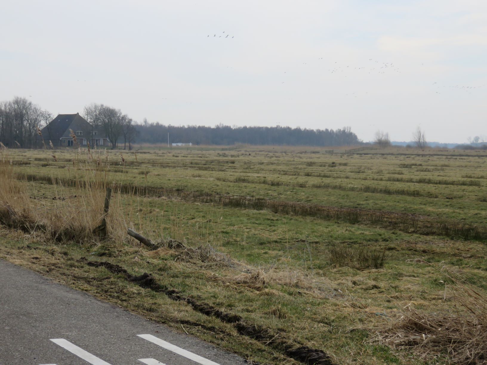 Foto droogmakerij met natte zone