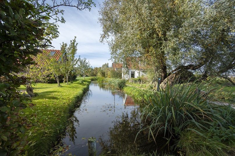 Foto van een sloot met huizen aan weerskanten die verscholen achter bomen liggen